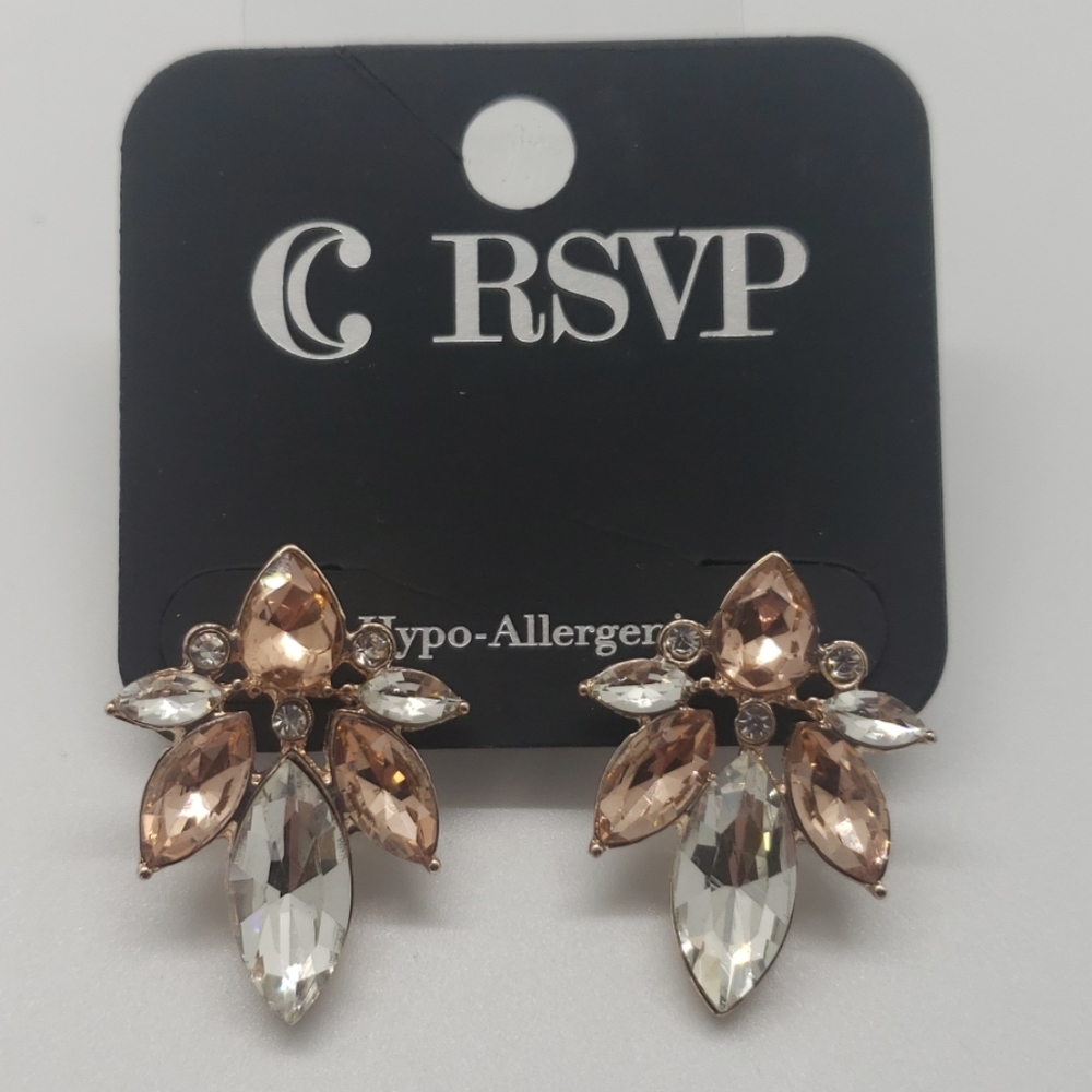 Charming Charlie Earrings. NWT